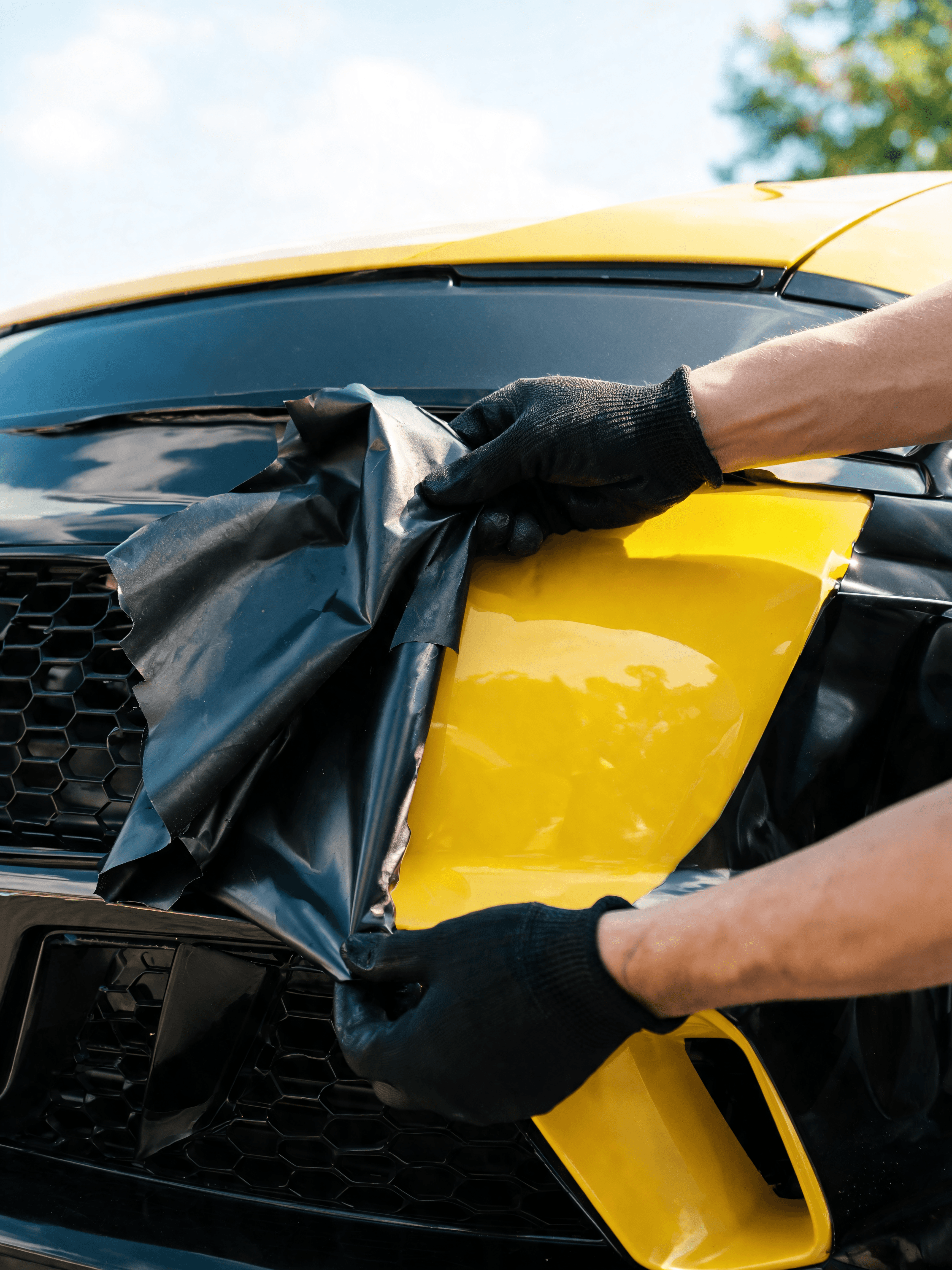 Vinyl Removal installation